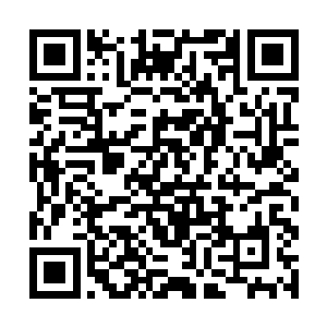 于承在昨夜以最快的速度安排好存活下来的魔宫中人二维码生成