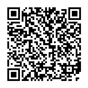 于承已经派出昨夜那场大地震后活下来的部分魔宫中人到处找夭华二维码生成