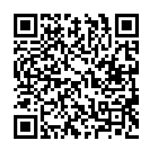 于无华殿内选了一个合适的位置布置起空间法阵来二维码生成