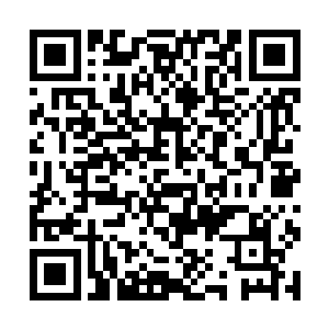 于是……在对其数据进行了一番细致的观察和解读后二维码生成
