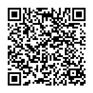 于是不知不觉间就成了一个小型的粉丝组织没有什么所谓组织体系二维码生成