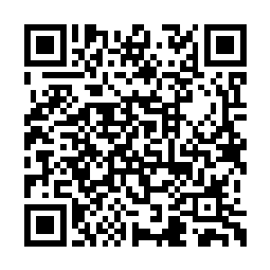 于是丹霞神帝的能量沿着龙傲天体内游走了一圈二维码生成