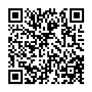 于是乎先前所有对新制和新皇后的诟病都烟消云散二维码生成