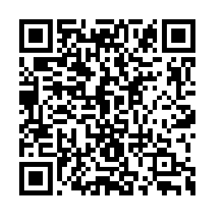 于是乎所有猛兽炯是发疯一般向着这边跑了过来二维码生成