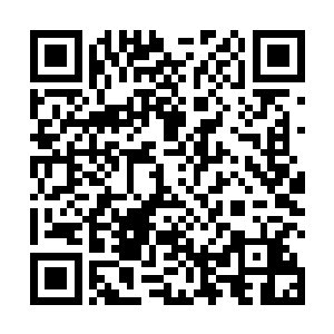 于是二人仍在明知获胜机率不大的情况下与犀角兽对敌二维码生成