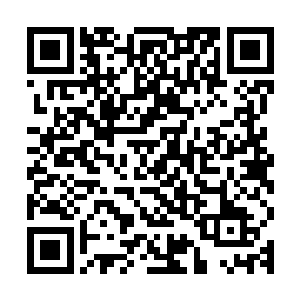 于是从其他地域又有不少佣兵团以及地方势力纷纷赶往瓦克城中二维码生成