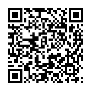 于是他们决定要把对儿子的爱转移到其他年轻人身上去二维码生成