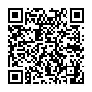 于是他和五奴就这么承受着兔子一次又一次的羞辱二维码生成