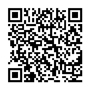 于是他尝试着用影像中的一些事情人物的名字等等去跟NPC交流二维码生成