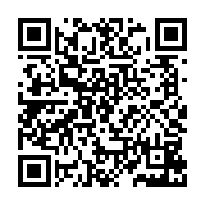 于是他就看到她穿着一件最简单的白衫袅娜行来二维码生成