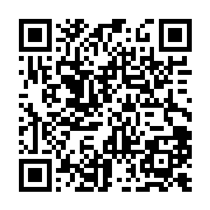 于是便在神珠殿的黑龙珠图鉴之上稍稍动了些手脚二维码生成