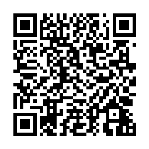 于是几番尝试下将逆鳞枪的逆鳞散力方式改成了顺鳞扩力二维码生成