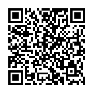 于是办公室主任沈木带着丁长生先去他的办公室熟悉一下二维码生成