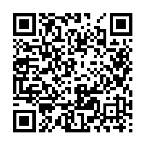 于是原主以自己坚韧不拔的意志力通过了门派考核二维码生成