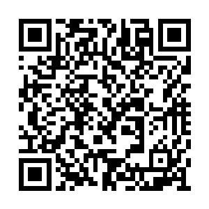 于是原本打算在这一片窥视观察个两三天的行程二维码生成