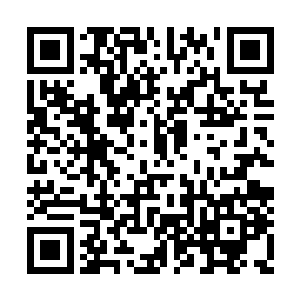 于是县里的本土干部渐渐的团结在了于全方周围二维码生成