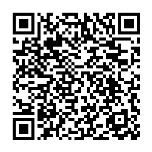 于是又派了一个侦察方面的高手和安蕾一起到了信访处和丁二狗会和的二维码生成