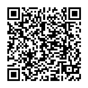于是又跑下去开始新一轮的引怪杀怪……而梓箐则懒洋洋地躺在坡顶的草地上二维码生成
