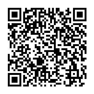 于是只见小金眼中又是金光一闪一部功法就出现在了小雪的脑海中二维码生成