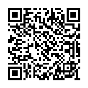 于是叶问天用了一下午加一整夜的时间陪伴慰藉二维码生成