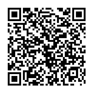 于是呼每次和府里一起做生意赚来的人头钱都会一点不剩全给了小主人二维码生成