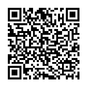 于是在周围按照这座岛的模样又创造出来无数的岛屿二维码生成