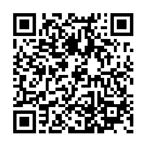 于是在王百丽将郑佳彤和胡佳佳迎到会议室里后二维码生成