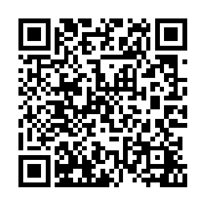 于是大家就用土系仙诀很快就将通道清理了出来二维码生成