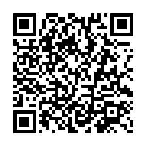 于是她便开始渐渐地增加自己对器宗修士的压力二维码生成