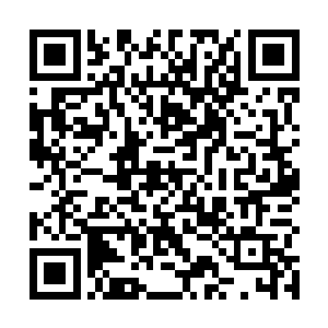 于是她干脆分别在藏书阁和藏宝阁各自放置了四个傀儡二维码生成