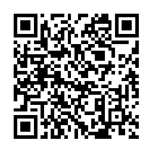 于是开始一遍又一遍地在心里演练见到他时要说的台词二维码生成