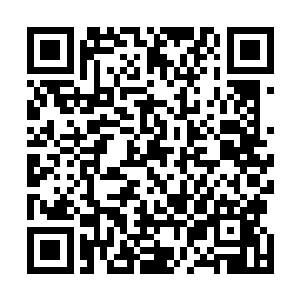 于是当夜明带着npc官员来到第一个访问地点的必经之路时二维码生成