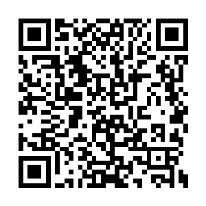 于是情殇之后她又渐渐找回了自己本该有的模样二维码生成