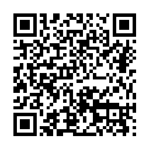 于是我只是大公替身傀儡的说法在组织内暗中流传二维码生成