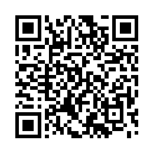 于是我就认真的给大家去准备药草了二维码生成