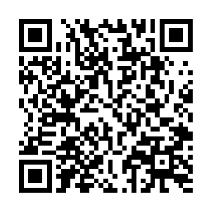 于是接下来的拍摄过程就变成了巴克被周琳菲各种瞧不起二维码生成
