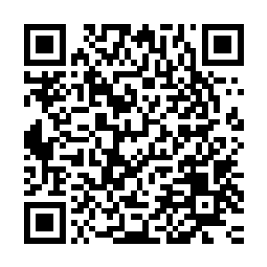 于是斑点就在木萦和木莎进来后逐渐把注意力投到了木萦的身上二维码生成