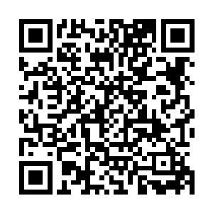于是有人开始默默的将自己捡起來的小兔子又重新还给司机二维码生成