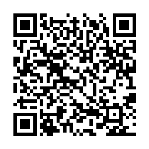 于是柳逸尘就把刚刚到手的一千万欧元都花了出去二维码生成