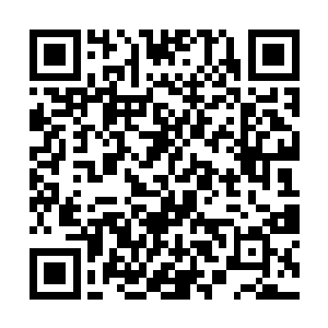 于是榛树又掉了一套金银礼服和一双精美的水晶鞋子二维码生成