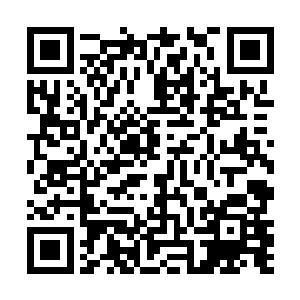 于是殿外的侍卫和宫人们看到了一辈子都忘不了的场景二维码生成