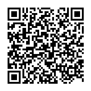 于是穆扬灵让人给那十几个土匪和那个黑衣刺客换上了干净的衣服二维码生成