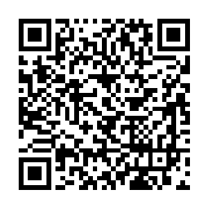 于是苗毅干脆又将身上的另外四只螳螂一起召了出来二维码生成