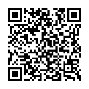 于是萌萌就被穆根重新抱上工作台校正时间去了二维码生成