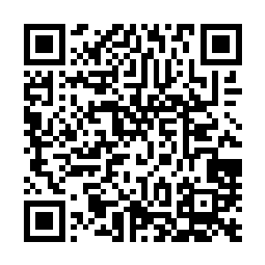 于是袁正昆派出了两名得力手下李信和孙娇娇前往打探消息二维码生成
