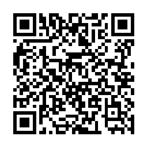 于是西格玛就很开心的把珍贵的大腿和屁股收起来了二维码生成