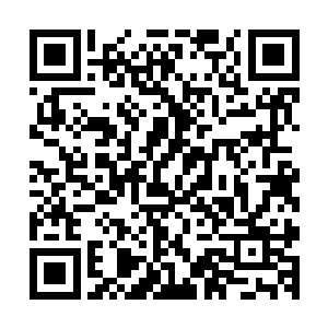 于是许紫烟便只好又将目光望向了那十二个人尊初期大修士道二维码生成