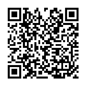 于是趴在沙发背上伸手戳了戳妮娜微微鼓起来的小肚子二维码生成