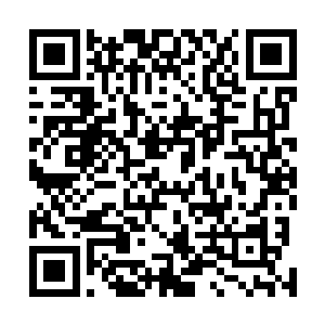 于是身为戏剧社成员的苏瑷就把关灿灿拉来了戏剧社帮忙二维码生成