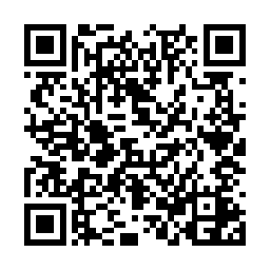 于是车上无数张恐怖无比的脸朝着我这边看了过来二维码生成